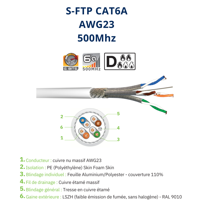 Cable réseau CAT6A